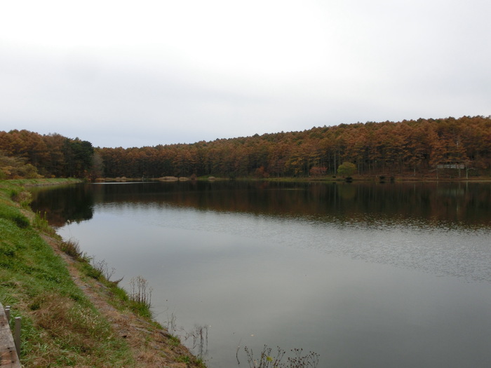 c0140260_0322122.jpg