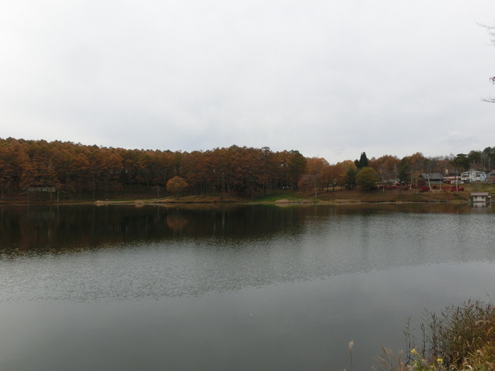 c0140260_0323497.jpg