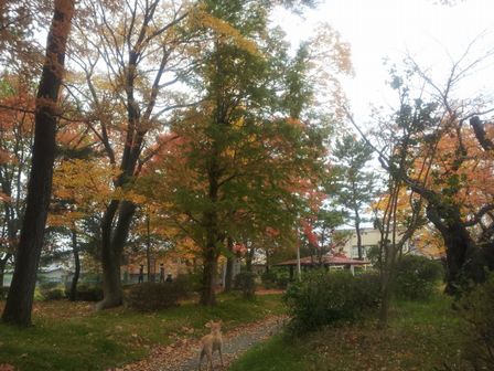 c0023165_0193550.jpg