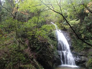 c0224265_1875672.jpg