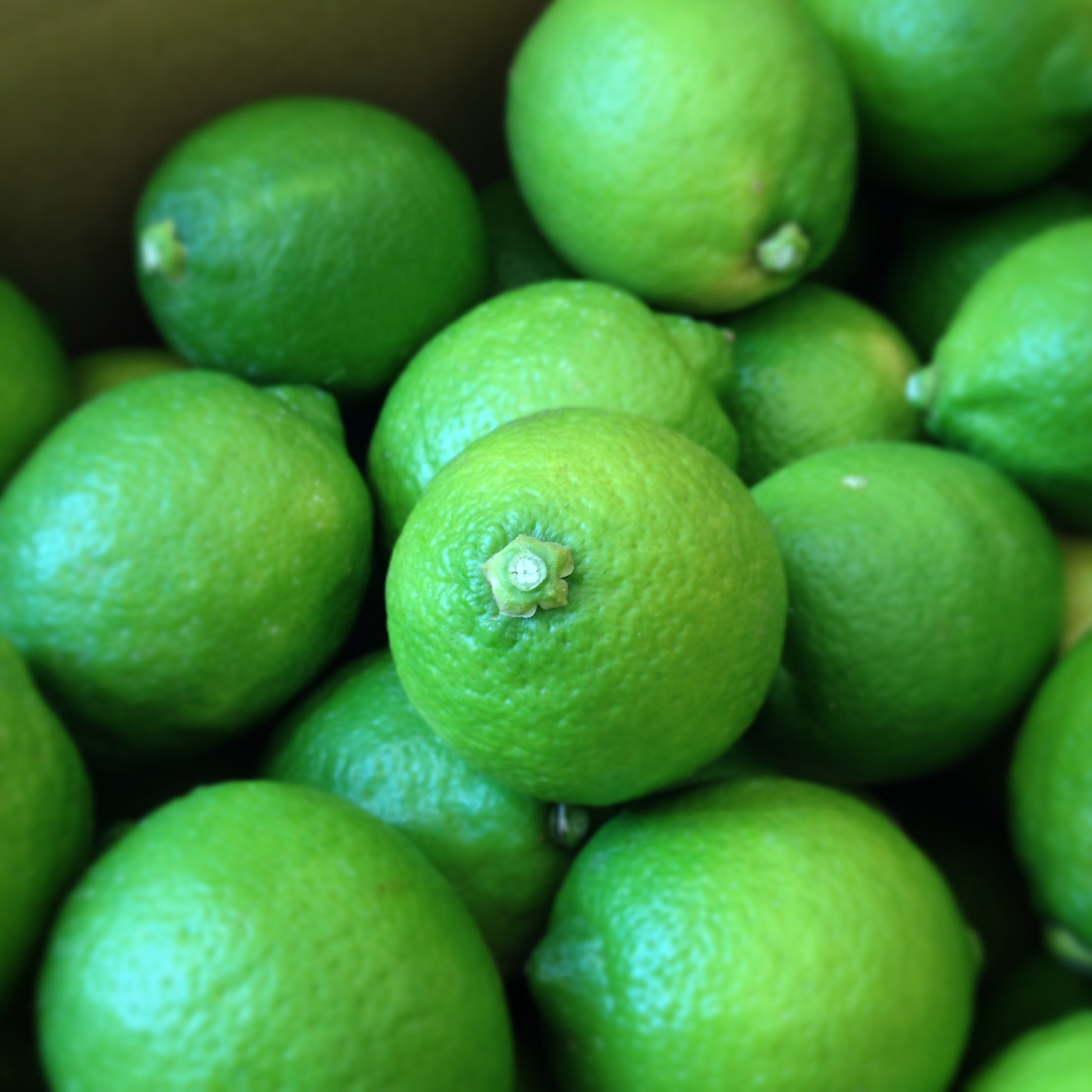 青いレモン とある やおやの おべんとう