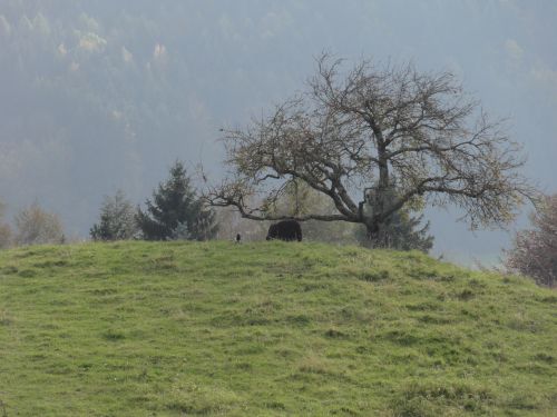 d0199677_19574726.jpg