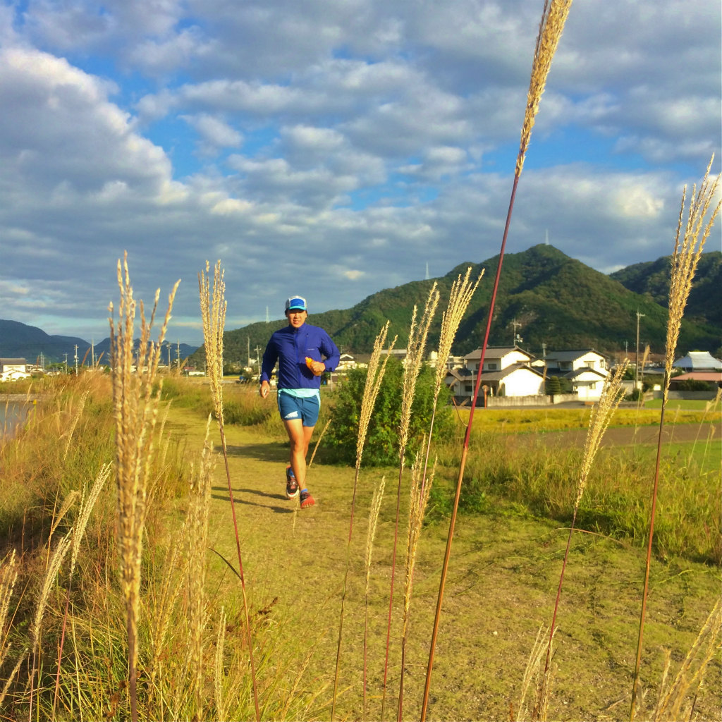 小野アルプス、和気アルプスScrambling & Mountain Running 2014/10/23_b0220886_1037756.jpg