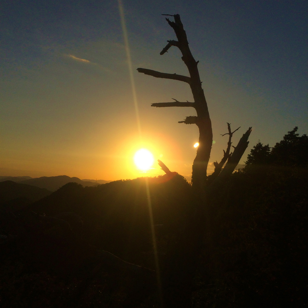 小野アルプス、和気アルプスScrambling & Mountain Running 2014/10/23_b0220886_10385732.jpg