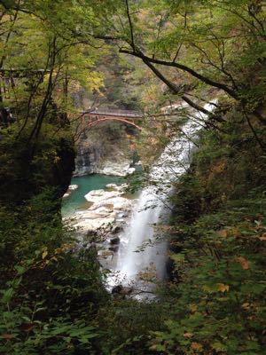 栃木で紅葉狩り♪_f0330592_1123136.jpg