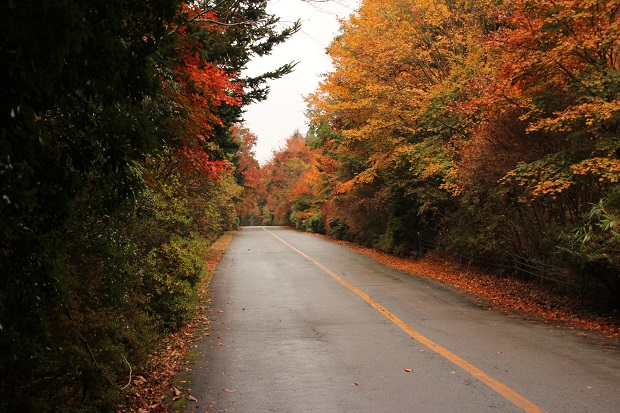 f0200594_8212926.jpg