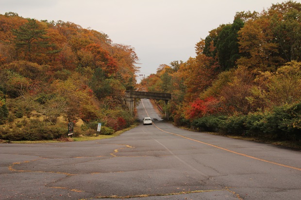 f0200594_8214663.jpg