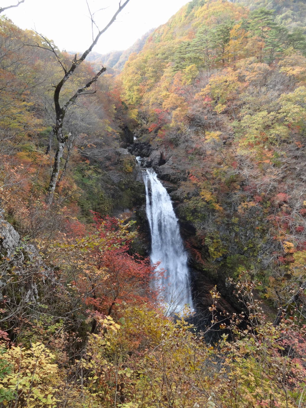 f0075595_22191569.jpg