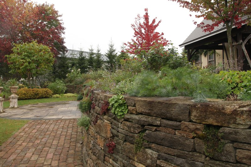 f0054197_2201217.jpg