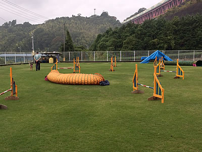 d0207298_15364854.jpg