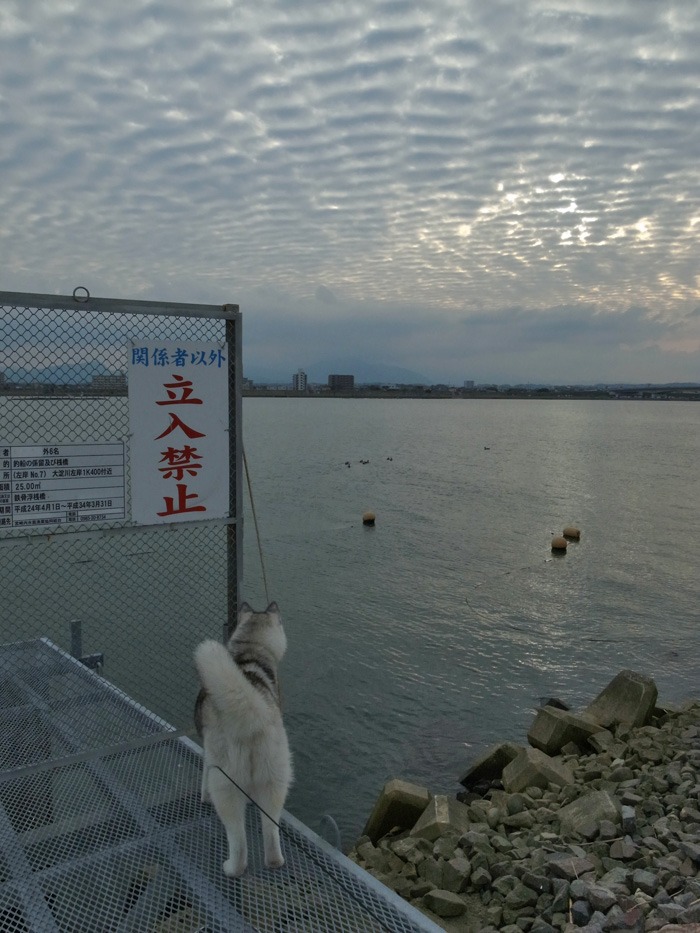 c0049299_21253589.jpg