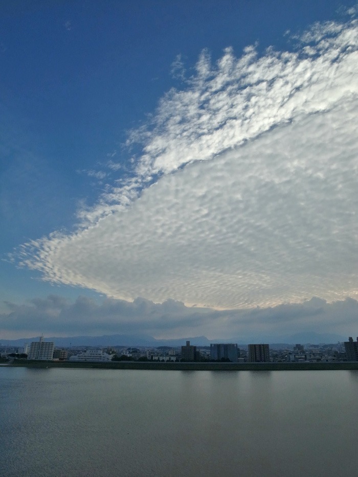c0049299_21262834.jpg