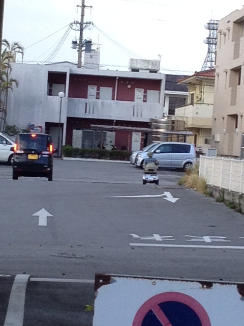 ごもっとも!なサインと、逃げ足の速い父_b0292900_17132312.jpg
