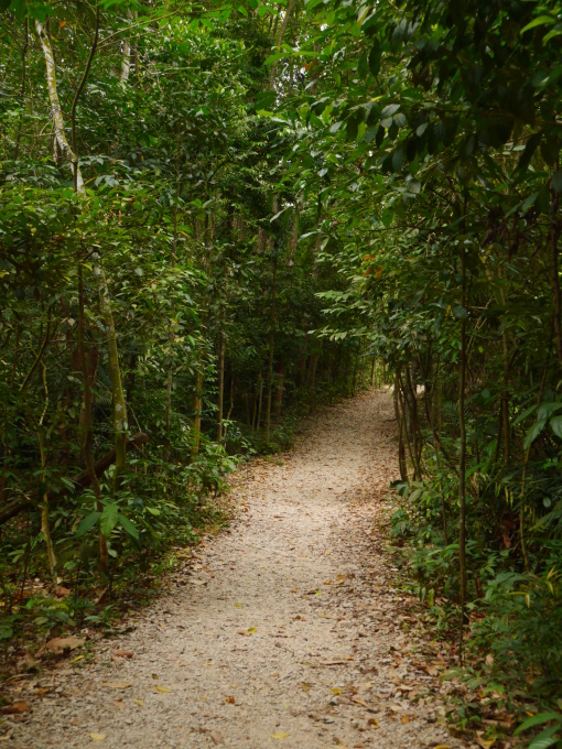 f0343001_12141011.jpg