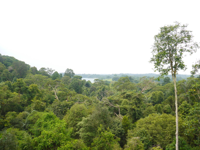 f0343001_12204090.jpg