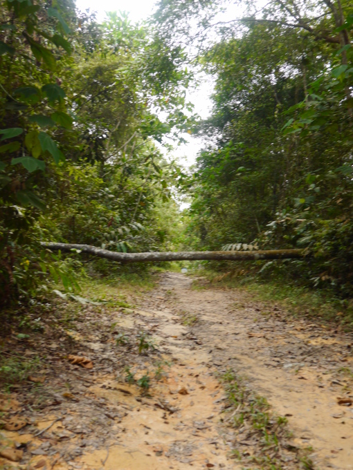 f0343001_12280710.jpg