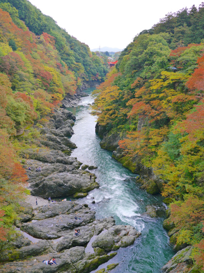 a0164102_10402923.jpg