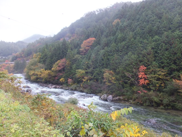 雨の秋風景_a0271502_17382540.jpg