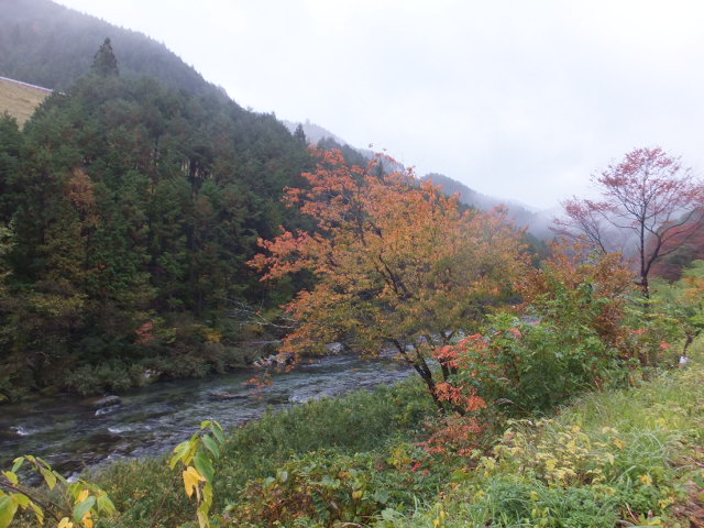 雨の秋風景_a0271502_1739020.jpg