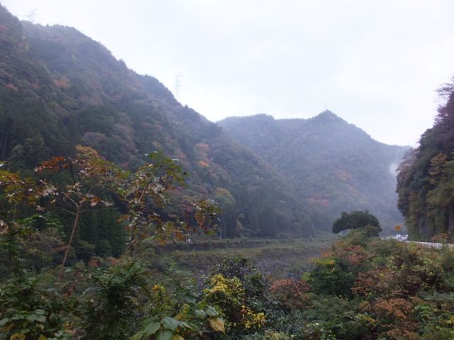 雨の秋風景_a0271502_17393647.jpg