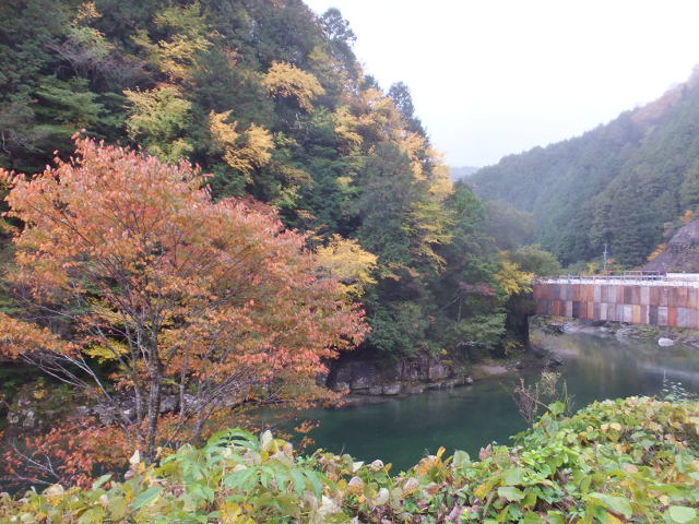 雨の秋風景_a0271502_17405028.jpg