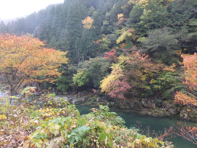 雨の秋風景_a0271502_1741613.jpg