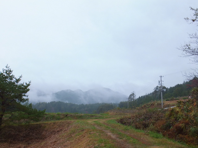 雨の秋風景_a0271502_17441299.jpg