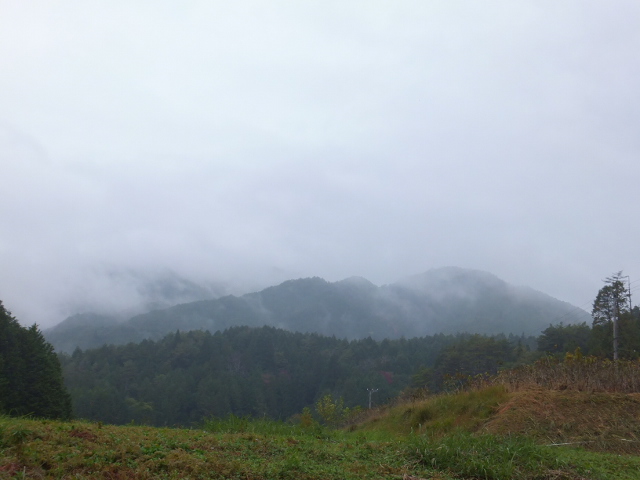 雨の秋風景_a0271502_17444348.jpg