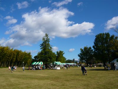 c0024502_23193216.jpg