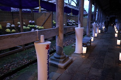 第6回 毘沙門さま夜参りとほの灯り へ行ってきました_c0336902_20232792.jpg