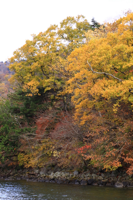 d0248502_10412995.jpg
