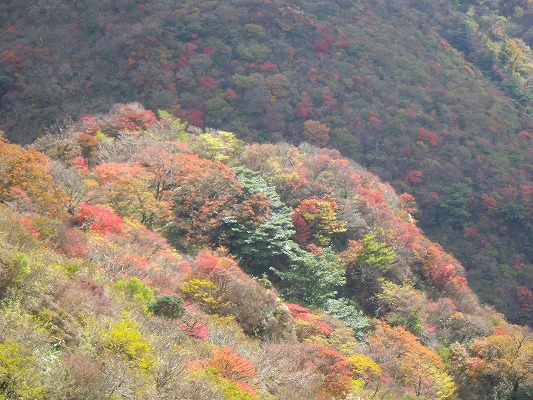 f0187402_217494.jpg