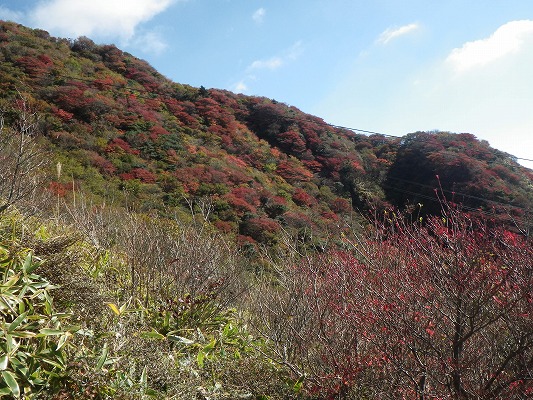 f0187402_2175697.jpg