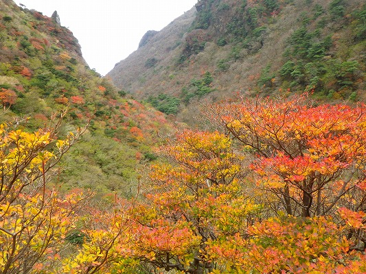 f0187402_2184750.jpg