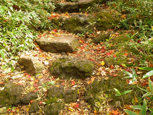 f0187402_2191260.jpg