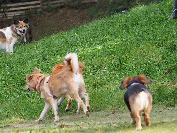 e0242804_23162011.jpg