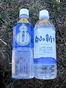 a0177205_16212580.jpg