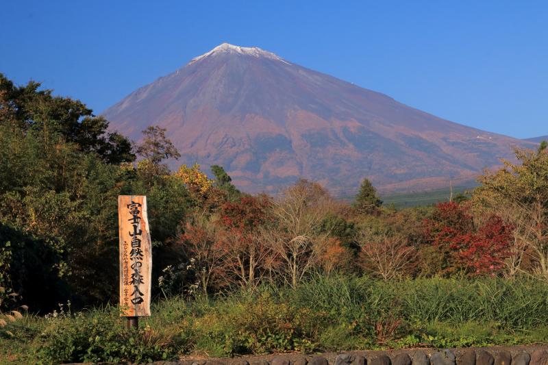 富士山自然の森_a0188405_16163367.jpg