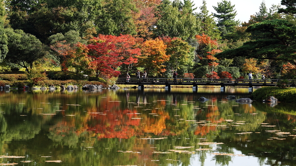 近場で紅葉。_f0302208_254486.jpg