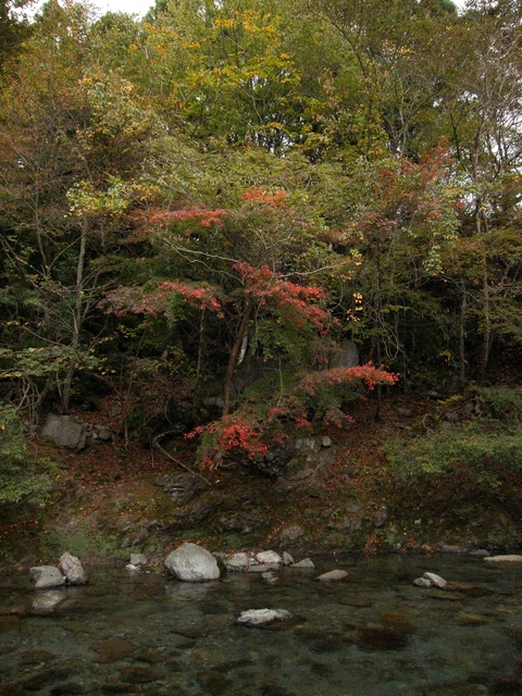 f0137709_23373495.jpg