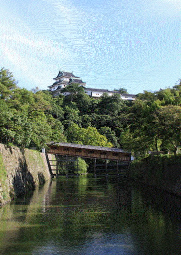 f0231709_1933462.gif