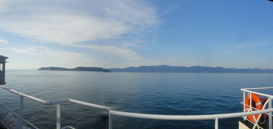 f0231709_20192272.gif