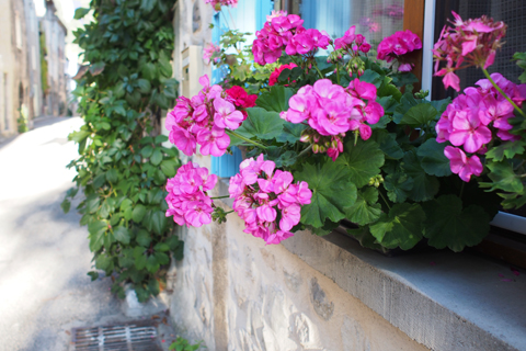 フランスの小さな村「Chatillon-en-Diois」_d0063314_1448550.jpg