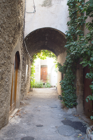 フランスの小さな村「Chatillon-en-Diois」_d0063314_1521293.jpg