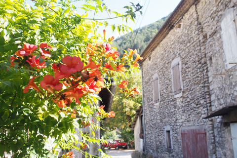 フランスの小さな村「Chatillon-en-Diois」_d0063314_163683.jpg