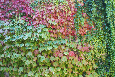 フランスの小さな村「Chatillon-en-Diois」_d0063314_16405041.jpg