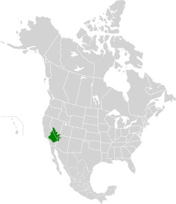 f0166919_23402969.png