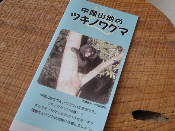 b0200721_8581677.jpg