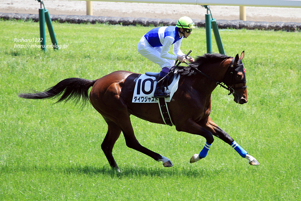 2014.6.1 東京競馬場☆ダイワジャスト【Thoroughbred】_f0250322_199527.jpg