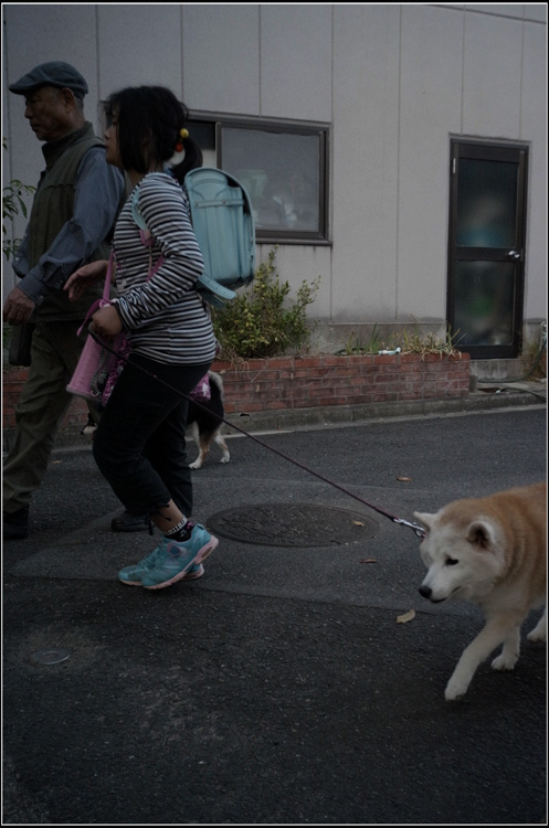 1172  奈良町暮色　（ペラール24mmF4で暮れ方の奈良町巡ると、何かに出会う)_b0226423_11142712.jpg